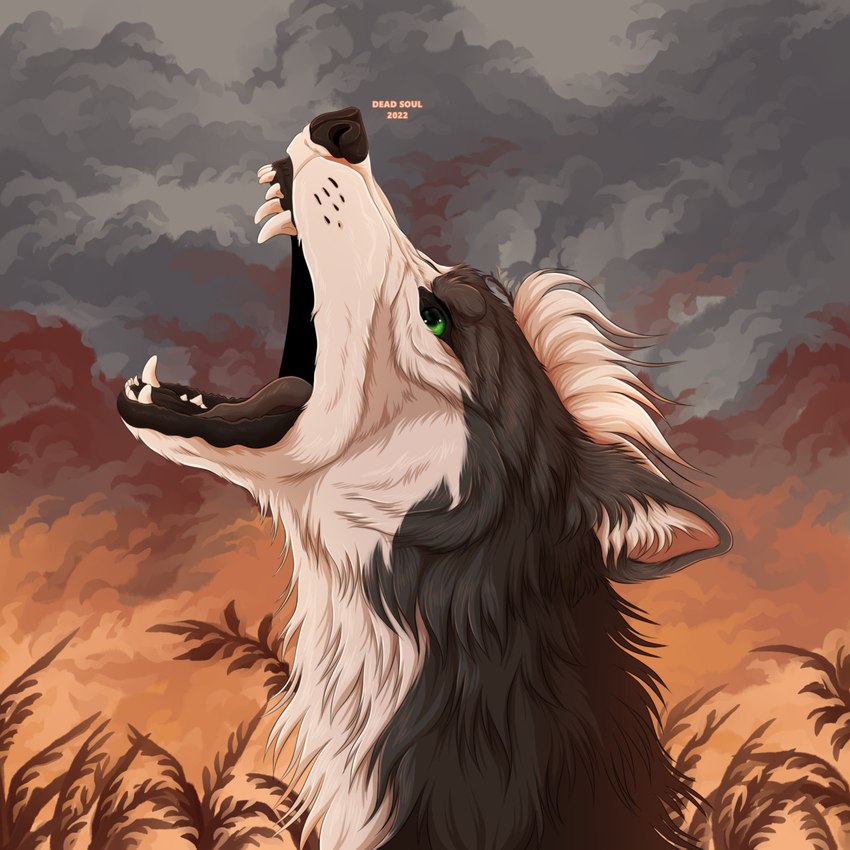 ambiguous_gender black_lips black_nose cheek_tuft cloud facial_tuft feral fur green_eyes grey_body grey_fur hair lips neck_tuft open_mouth short_hair side_view solo tuft white_body white_fur white_hair msdeadsoul canid canine mammal 1:1 hi_res