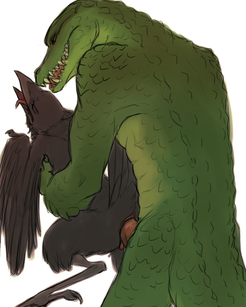 animal_genitalia anthro anthro_on_anthro avian_feet black_body black_feathers cloaca cloacal cloacal_penetration duo feathers from_behind_position genitals green_body green_scales lifting_partner male male/male penetration raised_tail scales sex simple_background size_difference tail tongue tongue_out white_background wings peregr1ne dungeons_and_dragons hasbro wizards_of_the_coast kleek aarakocra_(dnd) avian bird corvid corvus_(genus) crocodile crocodilian crow lizardfolk_(dnd) lizardman oscine passerine reptile scalie 4:5 hi_res