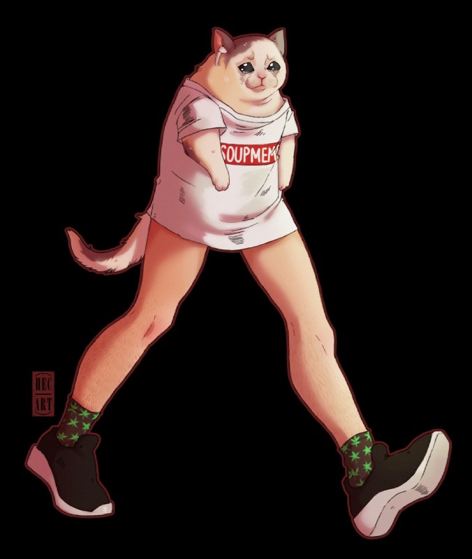 ambiguous_gender body_hair clothed clothing footwear humanoid_legs leg_hair legwear shirt shoes simple_background socks solo text text_on_clothing text_on_shirt text_on_topwear topwear what what_has_science_done hecatta airpods crying_cat supreme domestic_cat felid feline felis mammal 2019 digital_media_(artwork) hi_res meme