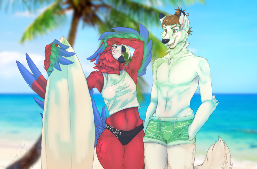 anthro beach beak breasts clothing duo feathers female fur hair male non-mammal_breasts open_mouth outside palm_tree plant red_body red_feathers sand sea seaside surfboard swimwear tree vehicle water watercraft white_body white_fur winged_arms wings omumacaw omu tail_(tailwhitefur) arctic_wolf avian bird canid canine canis macaw mammal neotropical_parrot parrot true_parrot wolf