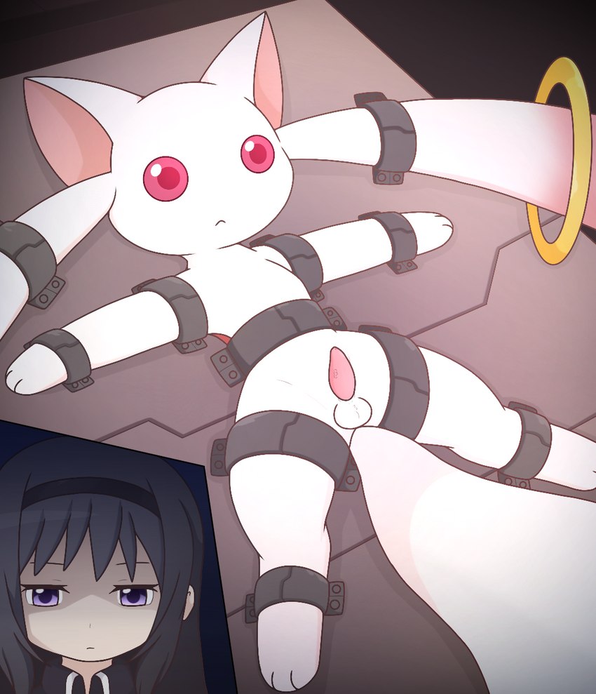 animal_genitalia animal_penis balls bound duo female feral fur genitals male penis red_eyes submissive submissive_male km-15 puella_magi puella_magi_madoka_magica homura_akemi kyubey human incubator_(puella_magi) mammal hi_res