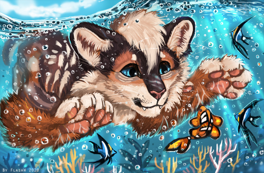 ambiguous_gender day detailed_background feral group outside partially_submerged paws sky flashw angelfish felid feline fish mammal marine 2020 digital_media_(artwork)