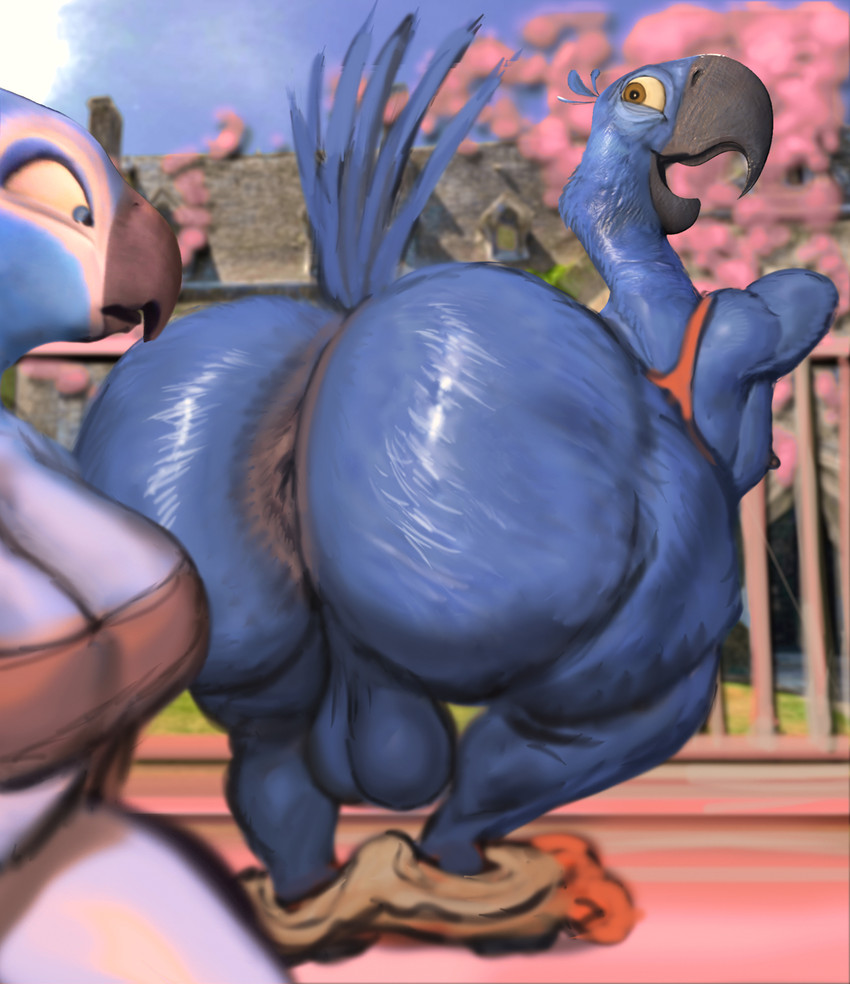 anthro anus balls big_butt blue_sky butt clothed clothing duo genitals male mostly_nude nipples presenting presenting_anus presenting_hindquarters skimpy sky thick_thighs wide_hips hohohonse blue_sky_studios rio_(series) blu_(rio) avian bird hi_res