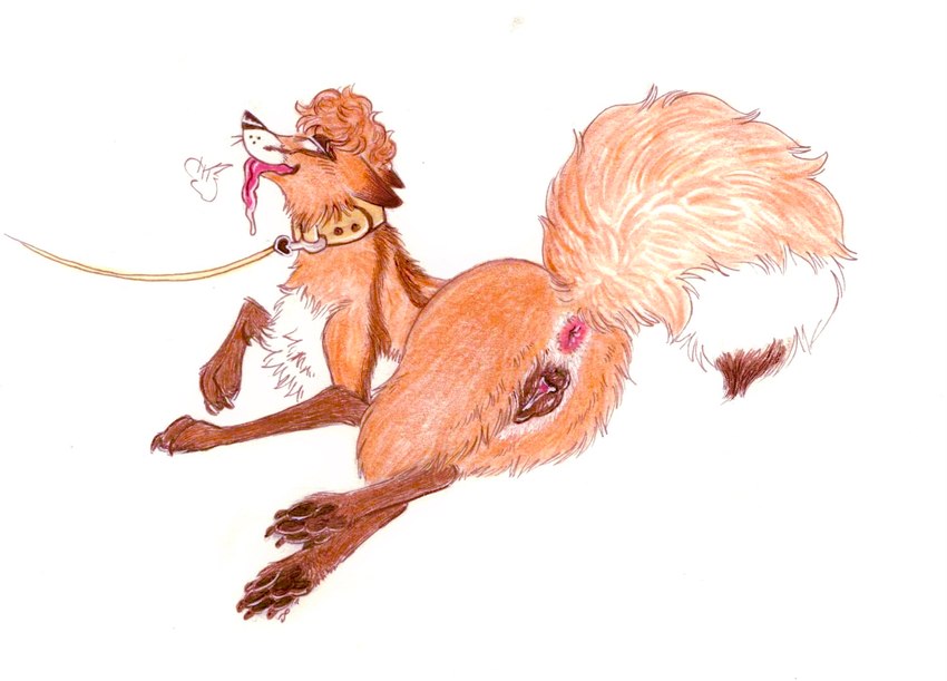 animal_genitalia animal_pussy anus canine_genitalia canine_pussy collar female feral genitals leash pussy simple_background solo tail tongue tongue_out white_background yeendream kaimstain canid canine fox kit_fox mammal true_fox colored_pencil_(artwork) hi_res traditional_media_(artwork) nonbinary_(lore)