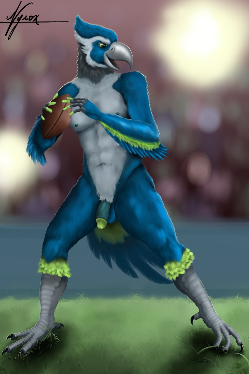 anthro avian_feet ball balls beak blue_balls blue_body blue_feathers blue_penis circumcised claws feathers flaccid genitals glans green_glans grey_body grey_feathers gridiron_ball humanoid_genitalia humanoid_penis looking_away male mascot nude penis public public_nudity seattle solo standing tail tail_feathers nyrox_(artist) nfl seattle_seahawks blitz_the_seahawk avian hybrid seahawk 2:3 absurd_res hi_res