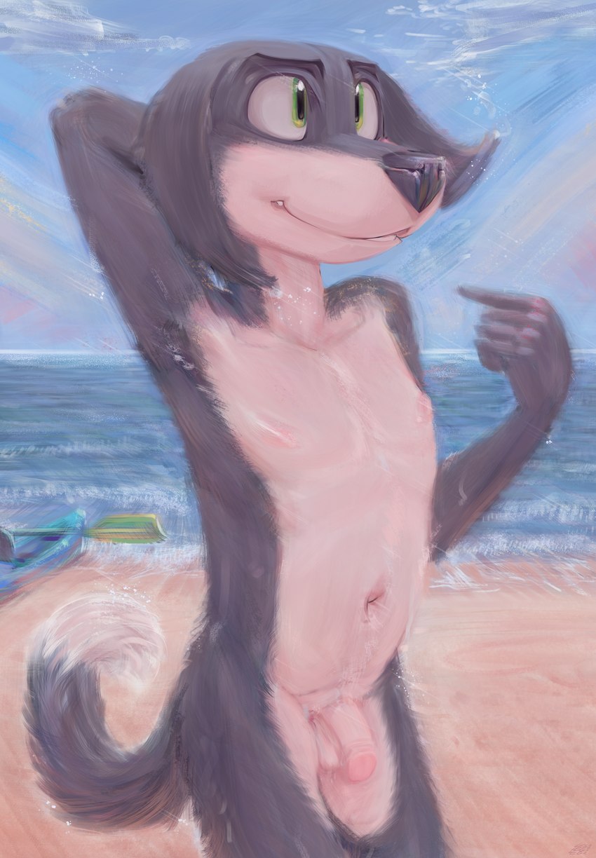 anthro balls beach casual_nudity circumcised cloud flaccid floppy_ears fur genitals gesture hand_gesture humanoid_genitalia humanoid_penis kayak looking_up male multicolored_body multicolored_fur nipples nude outside paddle penis pointing pointing_at_self sand sea seaside sky smile solo two_tone_body two_tone_fur vehicle water watercraft young young_anthro leglegleg canid canine canis domestic_dog mammal absurd_res hi_res