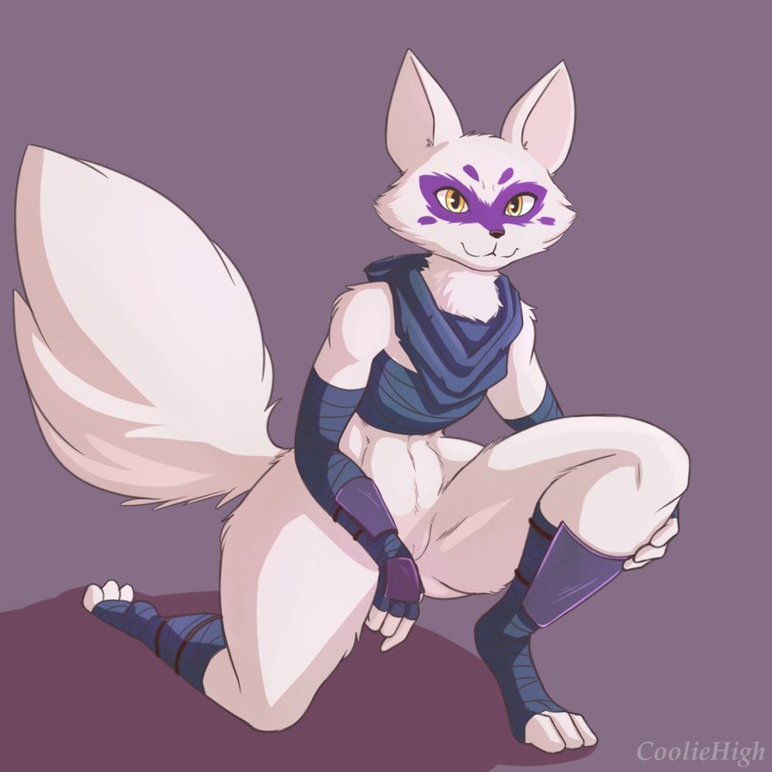 anthro bottomless breasts clothed clothing female fur genitals pussy simple_background solo white_body white_fur wrist_guards yellow_eyes cooliehigh teenage_mutant_ninja_turtles alopex arctic_fox canid canine fox mammal true_fox 1:1 hi_res