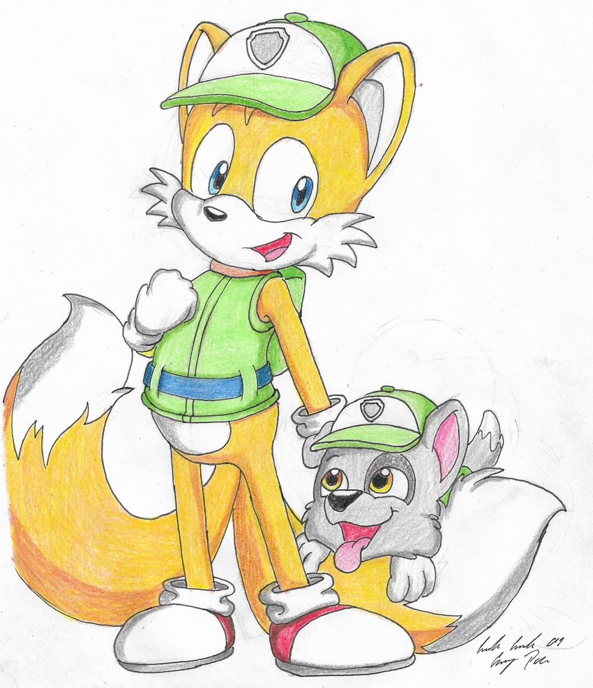 2_tails anthro duo feral male male/male multi_tail tail young young_anthro young_feral silversimba01 paw_patrol sega sonic_the_hedgehog_(series) miles_prower rocky_(paw_patrol) canid canine canis domestic_dog fox mammal mixed_breed hi_res