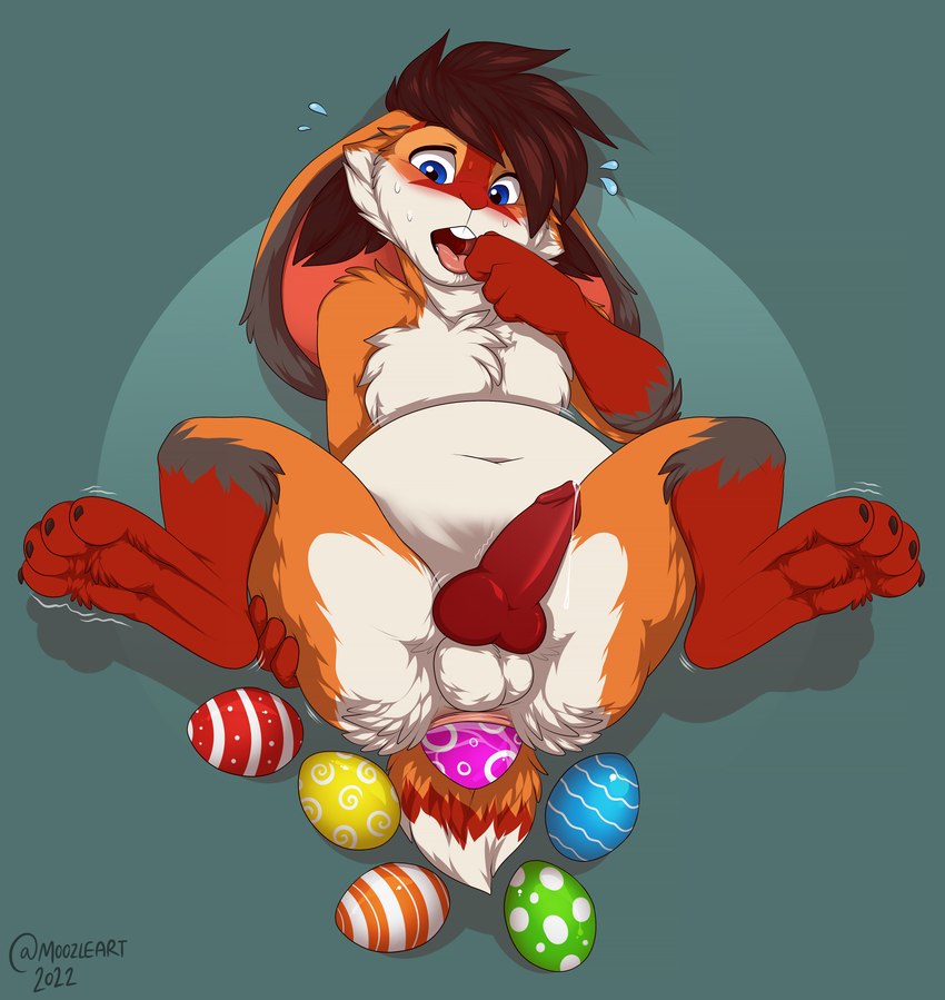 anthro anus balls belly bodily_fluids breath drooling egg egg_bulge enjoying genital_fluids genitals holidays knot male oviposition panting penis precum pregnant pregnant_anthro pregnant_male presenting round_body saliva shaking solo sweat transformation trembling muzz ferox_(feroxdoon) canid canine fox hybrid lagomorph leporid mammal rabbit red_fox true_fox absurd_res hi_res