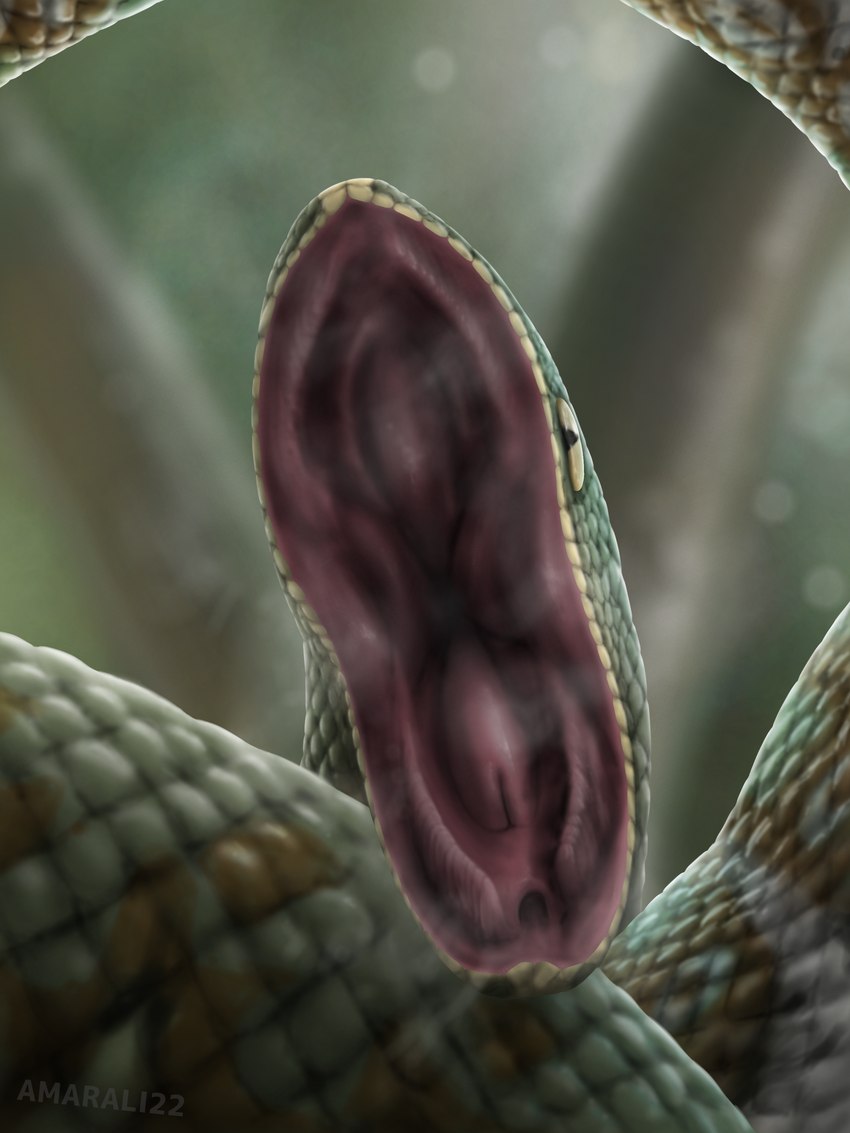 ambiguous_gender feral glottis green_body mouth_shot no_teeth open_mouth scales simple_background solo toothless_mouth amarali_(artist) python reptile scalie snake 3:4 absurd_res hi_res