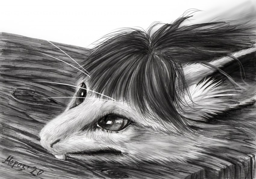 ambiguous_gender anthro cheek_tuft facial_tuft fur furniture hair pupils realistic slit_pupils solo stuck table teeth tuft wood dimasbka out-of-placers mammal yinglet 2020 greyscale headshot_portrait monochrome portrait traditional_media_(artwork)