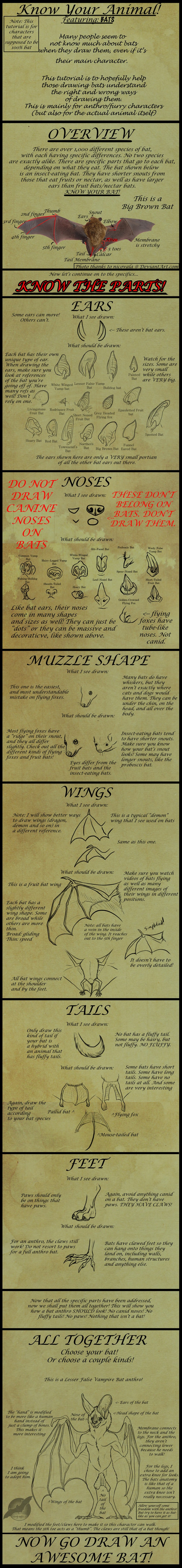 anatomy anthro bat_wings black_border border calcar diagram digitigrade featureless_crotch feral how-to information leaf_nose membrane_(anatomy) membranous_wings patagium plagiopatagium realistic_wings text the_more_you_know uropatagium winged_arms wings shorty-antics-27 bat big_brown_bat free-tailed_bat house_bat leaf-nosed_bat mammal megabat microbat vampire_bat vesper_bat yangochiropteran absurd_res hi_res long_image model_sheet tall_image url