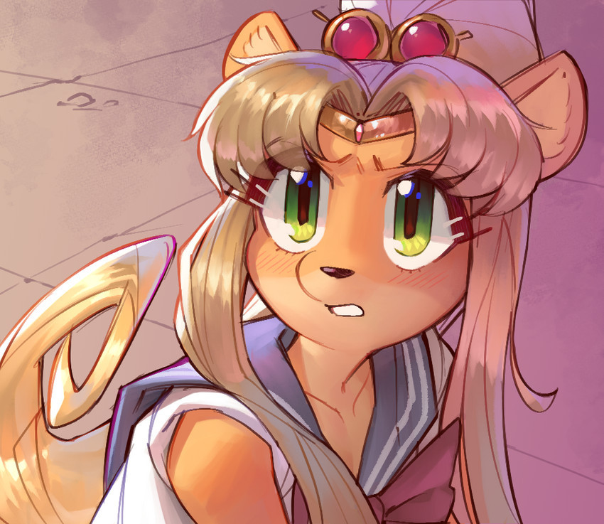 coco bandicoot (sailor moon redraw challenge and etc) created by wamudraws