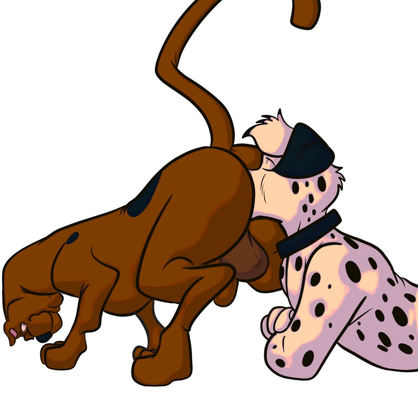 anal ass_up balls butt collar duo eyes_closed feral feral_rimming_feral genitals looking_back male male/male oral paws penis raised_tail rimming sex tail joesanchez hanna-barbera scooby-doo_(series) scooby-doo canid canine canis dalmatian domestic_dog great_dane mammal mastiff molosser 1:1 hi_res