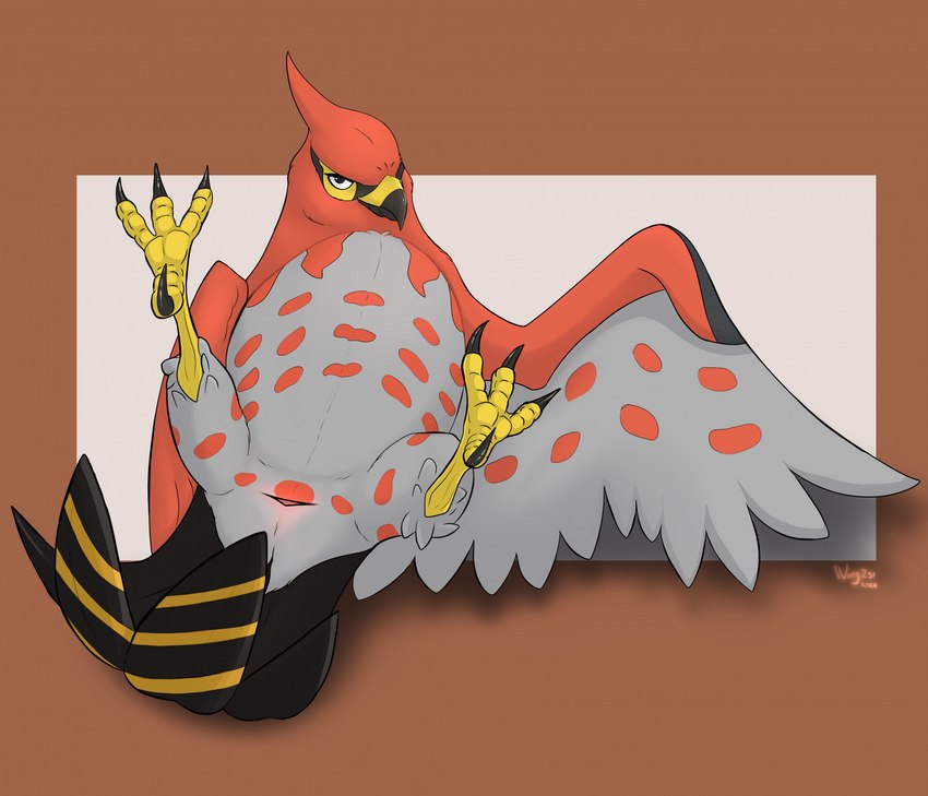 ambiguous_gender anatomically_correct anatomically_correct_genitalia animal_genitalia avian_butt avian_feet beak bedroom_eyes blush body_blush cloaca feathers feet feral genitals lying narrowed_eyes on_back presenting pussy_blush seductive solo spread_legs spreading tail tail_feathers talons toes wings wingz31 nintendo pokemon avian bird generation_6_pokemon pokemon_(species) talonflame hi_res