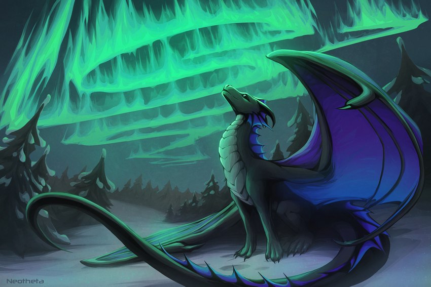 ambiguous_gender aurora_(phenomenon) claws detailed_background feral horn membrane_(anatomy) membranous_wings night outside scales sitting solo spines tail wings neotheta european_mythology mythology borealis dragon mythological_creature mythological_scalie scalie western_dragon 2021 3:2 digital_media_(artwork)