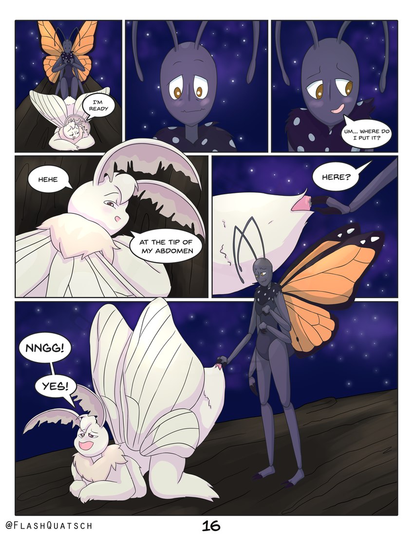 all_fours animal_genitalia antennae_(anatomy) anthro arthropod_abdomen arthropod_abdomen_cloaca arthropod_abdomen_genitalia black_body black_skin branch cloaca comic_panel dialogue duo fingering genitals insect_wings lepidopteran_wings looking_back looking_down male male/male multi_arm multi_limb orange_wings sky speech_bubble standing star starry_sky text tuft white_body white_skin white_wings wings wood flashquatsch rey_(flashquatsch) valentino_(flashquatsch) arthropod butterfly insect lepidopteran monarch_butterfly moth comic english_text hi_res