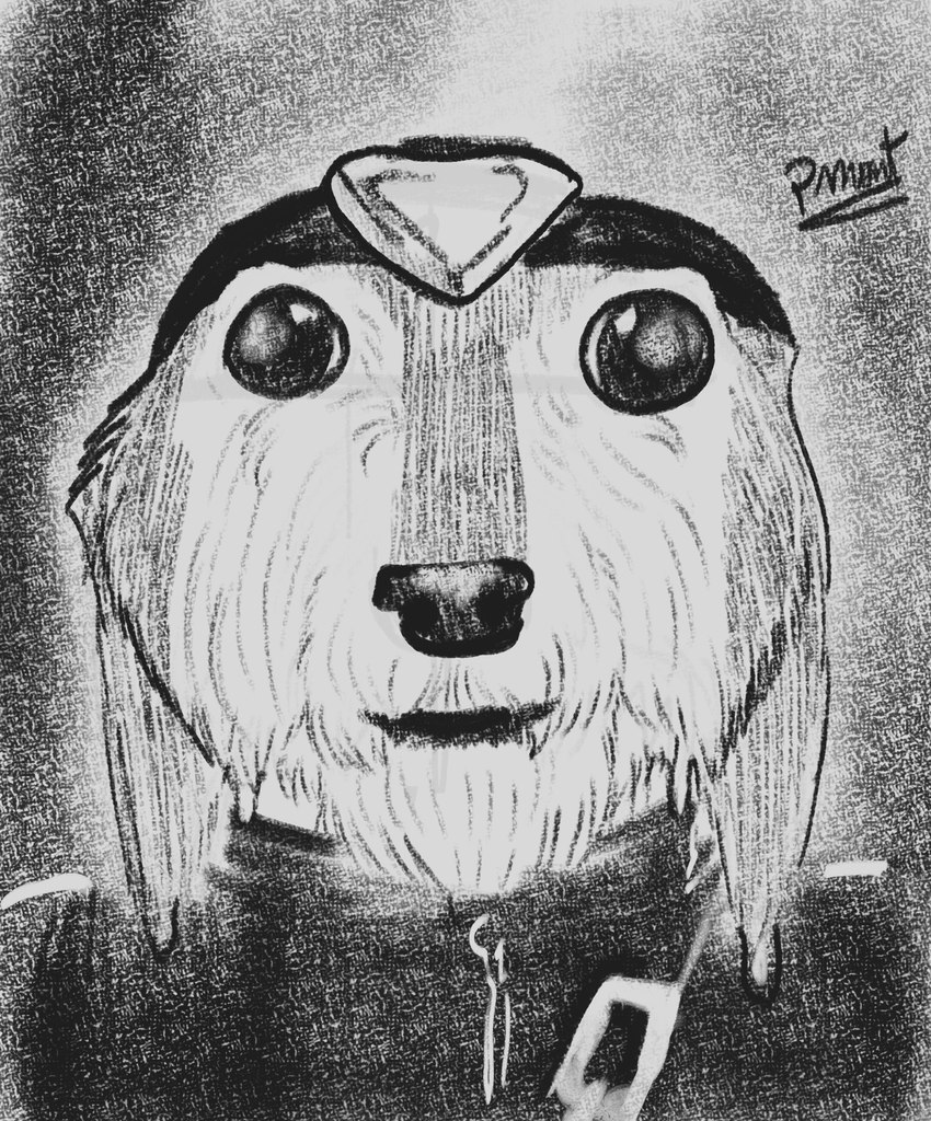 anthro clothed clothing cursed_image derp_eyes fur hat headgear headwear humor male solo text wet wet_body wet_fur pinumontbalou epic_games fortnite wendell_(fortnite) canid canine canis mammal wolf absurd_res english_text hi_res meme monochrome