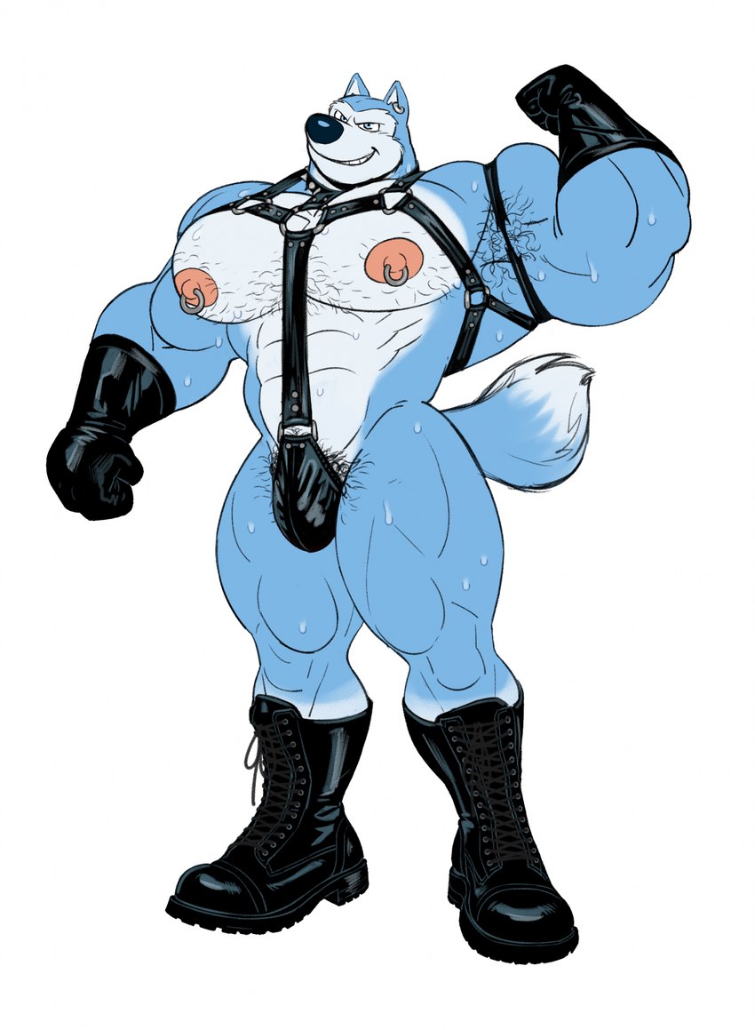 abs anthro armpit_hair big_arms big_biceps big_forearms big_muscles big_nipples big_pecs black_leather blue_body blue_fur bodily_fluids body_hair boots bulge chest_hair clothing earpiece flexing flexing_bicep footwear forearms fur gloves handwear harness huge_muscles huge_pecs laced_boots leather leather_clothing leather_gloves leather_handwear leather_harness male muscular muscular_male muscular_thighs nipples pecs pose pubes quads shoes simple_background smile smirk solo sweat sweatdrop thick_thighs thong underwear white_background white_body white_fur mezcal_(artist) road_rovers warner_brothers exile_(road_rovers) canid canine canis domestic_dog husky mammal nordic_sled_dog siberian_husky spitz 2023 hi_res pinup