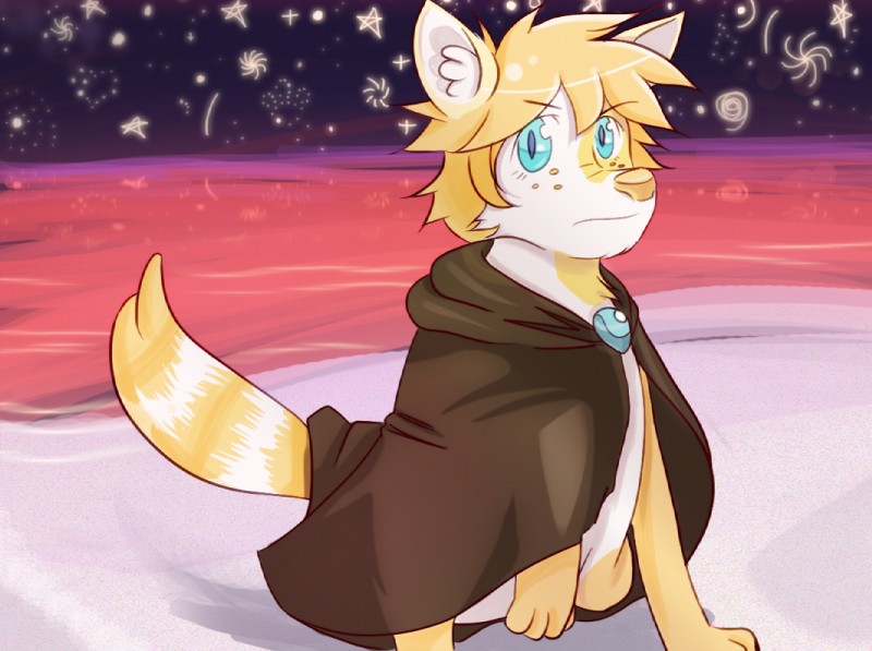 beach blue_eyes brooch cloak clothing detailed_background freckles hair male markings red_ocean sand seaside sky solo spots star striped_markings striped_tail stripes tail tail_markings water mikrogoat audience! lupisvulpes litho canid canine mammal