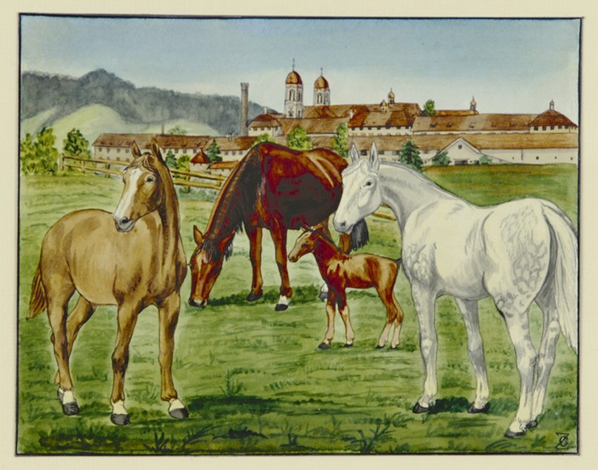 ambiguous_gender border brown_body brown_fur brown_tail building day feral fur group hooves outside plant quadruped realistic renaissance_architecture tail tree white_body white_border white_fur white_tail young young_feral johann_georg_zahndler public_domain equid equine horse mammal 20th_century ancient_art hi_res signature traditional_media_(artwork)