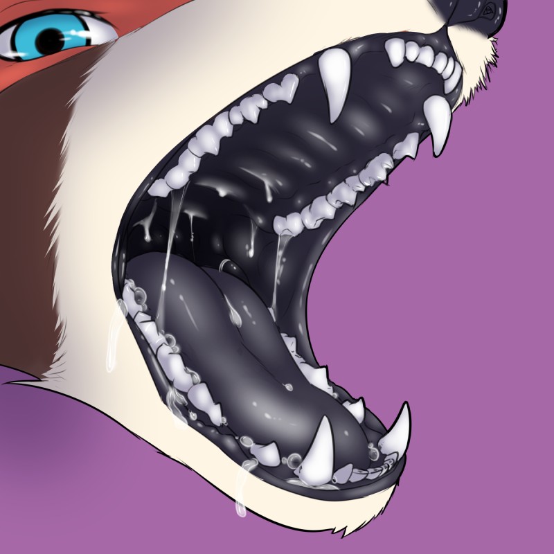 black_gums blue_eyes bodily_fluids drooling fangs looking_at_viewer mouth_shot open_mouth palate saliva solo teeth tongue strawberrycucumber ailurid mammal red_panda 1:1 hi_res