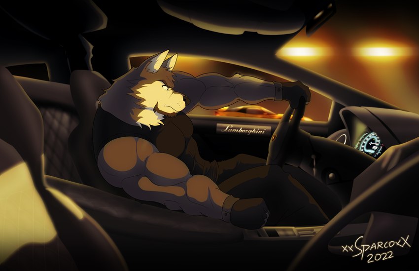 anthro biceps black_clothing black_topwear car car_interior clothed clothing driving fur inside_car inside_vehicle male multicolored_body multicolored_fur side_view solo steering_wheel topwear vehicle xxsparcoxx lamborghini canid canine canis mammal wolf 2022 absurd_res hi_res