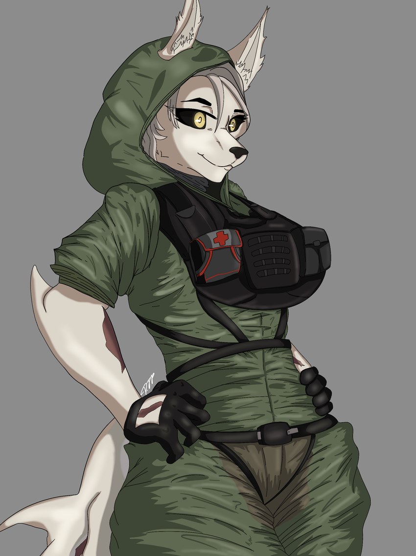 anthro black_sclera clothing female fin fur gloves handwear hoodie medic military military_uniform muscular pose scar simple_background smile soldier solo tail topwear uniform warrior white_body white_fur yellow_eyes shadowboiii a_man_in_a_beasts_world lupa_marble_(ghilliecamo) canid canine canis fish hybrid mammal marine shark wolf absurd_res digital_media_(artwork) hi_res