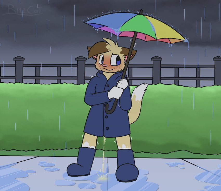 anthro blush bodily_fluids clothing coat fence genital_fluids hedge male male_peeing peeing plant puddle raincoat raining shrub solo topwear umbrella urine ritzcat ritz_(ritzcat) humanoid colored