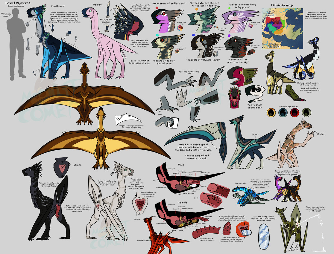 3_fingers 4_toes anatomical_diagram animal_genitalia ass_to_ass beak black_body bodily_fluids bone bottomwear brown_eyes chin_horn claws cloaca cloacal cloacal_penetration clothed clothed_feral clothing container countershading cum cum_from_cloaca cup cutaway digitigrade egg egg_from_cloaca eggnant ejaculation electronics facial_horn feathered_crest featherless feathers feet female female_penetrating female_symbol feral feral_on_feral fingers footwear from_behind_position front_view furgonomic_footwear furgonomics gaping gaping_cloaca gender_symbol genital_fluids genitals green_eyes grey_eyes group gynosome hand_feet handstand head_crest holding_container holding_cup holding_mug holding_object holding_phone horn iridescent iridescent_feathers logo looking_at_another looking_at_partner looking_back male male/female male_penetrated male_symbol map markings membrane_(anatomy) membranous_wings monotone_background mounting mug multicolored_body open_mouth organs oviposition pants penetration penis phone pregnant pregnant_female prehensile_feet pseudo-penis purple_eyes quadruped rear_view red_eyes sex shoes short_tail silhouette simple_background skull smile species_sheet spots spotted_markings spread_wings standing striped_markings stripes sweater symbol tail teeth text toes tongue toothed_beak topwear turtleneck unusual_anatomy unusual_genitalia white_body wing_fingers wings yellow_eyes conditional_dnp moonlit-comet european_mythology mythology dragon jewel_wyvern_(moonlit-comet) mythological_creature mythological_scalie scalie western_dragon wyvern 2025 absurd_res artist_logo artist_name biological_illustration digital_media_(artwork) english_text flat_colors hi_res medical_illustration technical_illustration