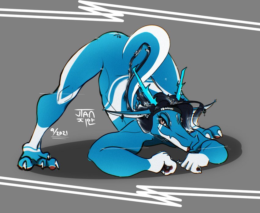 anthro ass_up black_hair blue_body hair jack-o'_pose jian male pose solo tail white_body mythology dragon mythological_creature mythological_scalie scalie character_name hi_res