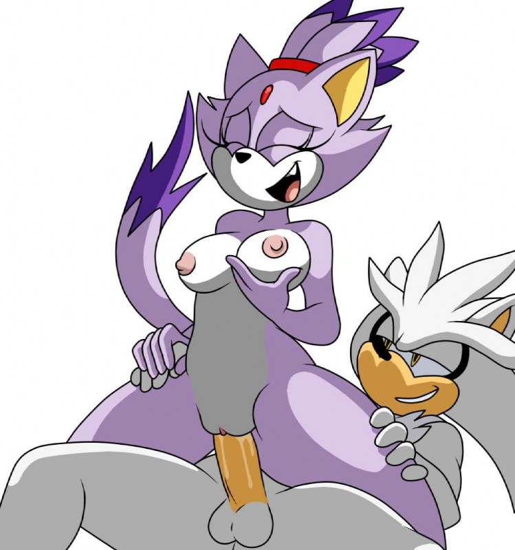 blaze the cat and silver the hedgehog (sonic the hedgehog (series) and etc) created by imbeingarealdoofus (artist)