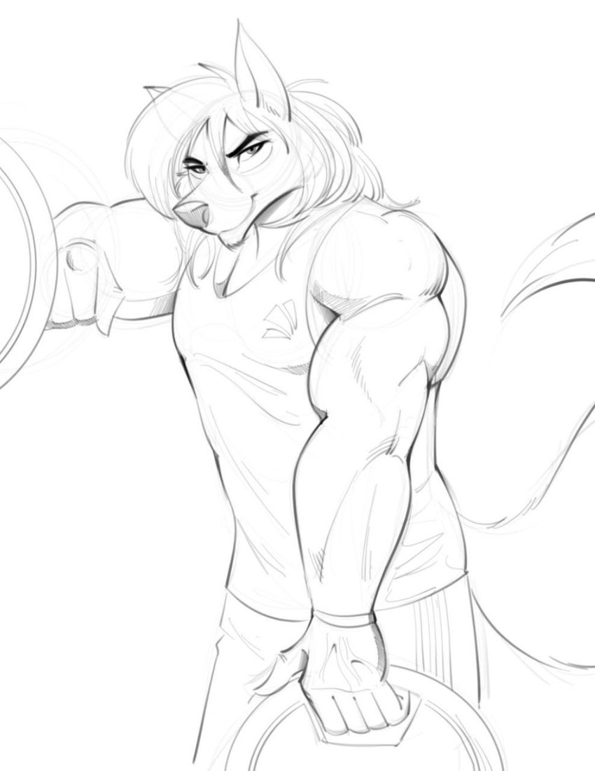 anthro biceps bottomwear clothing eye_markings gloves gym hair handwear long_hair looking_at_viewer male markings muscular muscular_arms muscular_male resting_arm shirt shorts solo tail tank_top topwear weights mikeknight19 alexzandr_sokolov canid canine canis mammal wolf hi_res monochrome sketch