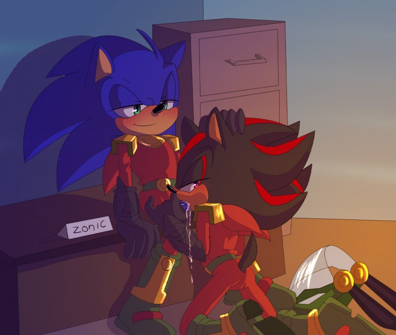 shadow the hedgehog, sonic the hedgehog, and zonic the zone cop (sonic the hedgehog (archie) and etc) created by angelofhapiness