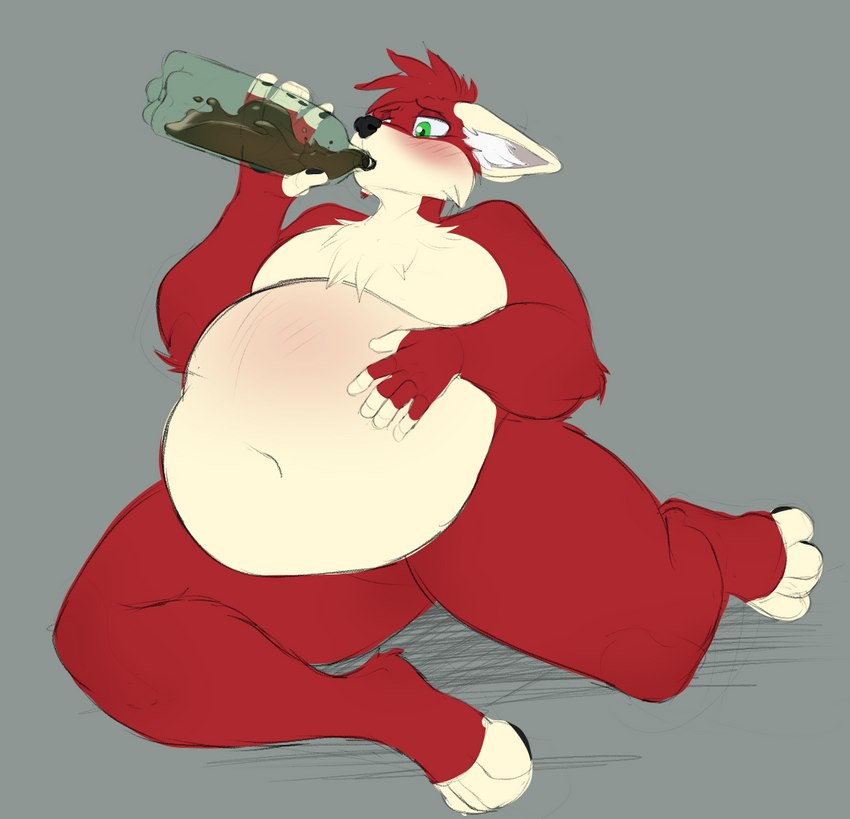 anthro belly belly_expansion belly_inflation beverage big_belly drinking drinking_soda expansion fur inflation male overweight overweight_anthro overweight_male red_body red_fur simple_background soda soda_bottle soda_inflation solo blazinlink canid canine mammal