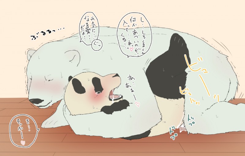 panda-kun and shirokuma (shirokuma cafe) created by kumao and okatana