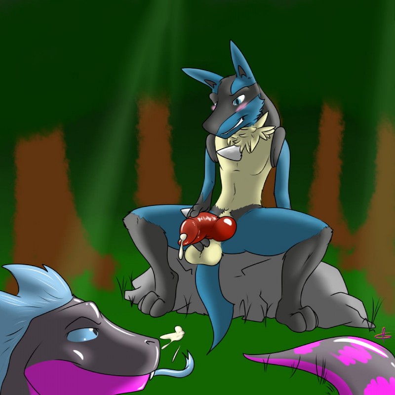 anthro blue_eyes blush bodily_fluids cum duo erection forest genital_fluids genitals grin knot male outside penis plant presenting smile spread_legs spreading tail tree kotetsu_rexen nintendo pokemon lionel_aurastar rufus_(kotetsu) canid canine generation_4_pokemon lucario mammal pokemon_(species) 1:1 hi_res