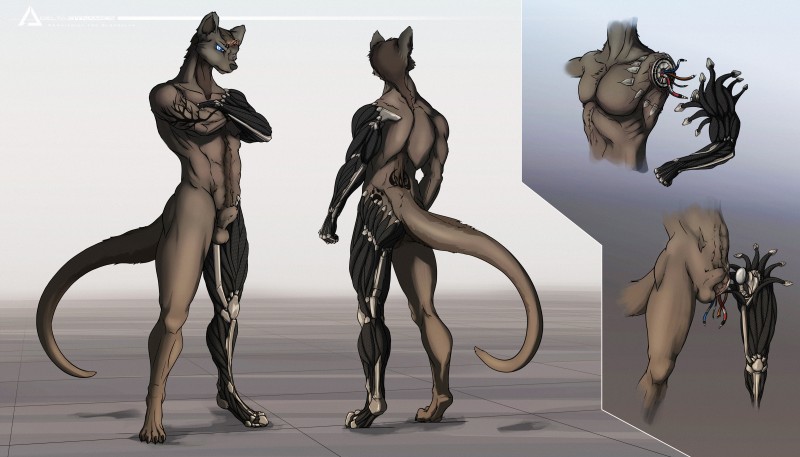 anthro balls biped brown_body brown_fur butt claws digitigrade fur genitals hair male nude prosthetic prosthetic_arm prosthetic_leg prosthetic_limb realistic simple_background solo standing text toe_claws delta.dynamics tyler_mcrae mammal mustelid otter absurd_res english_text hi_res model_sheet