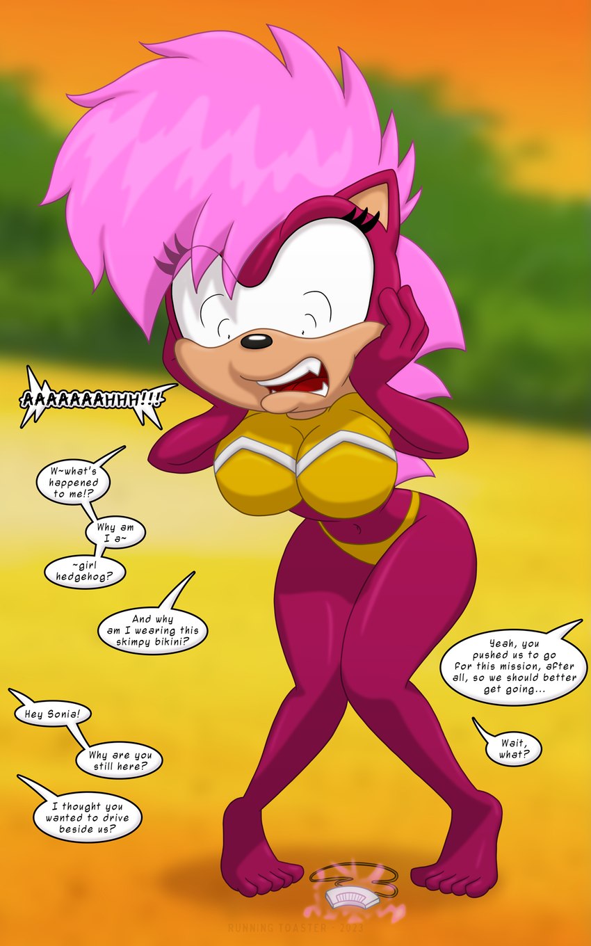 after_transformation anthro beach big_breasts breasts clothing female freaking_out hair hand_on_face looking_down maroon_body open_mouth pink_hair screaming seaside solo swimwear teeth_showing runningtoaster sega sonic_the_hedgehog_(series) sonic_underground sonia_the_hedgehog eulipotyphlan hedgehog mammal 5:8 hi_res