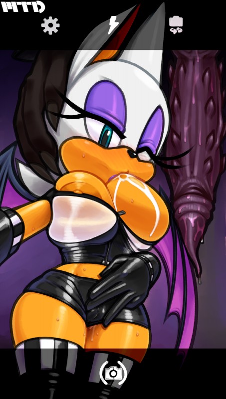 rouge the bat (sonic the hedgehog (series) and etc) created by marthedog