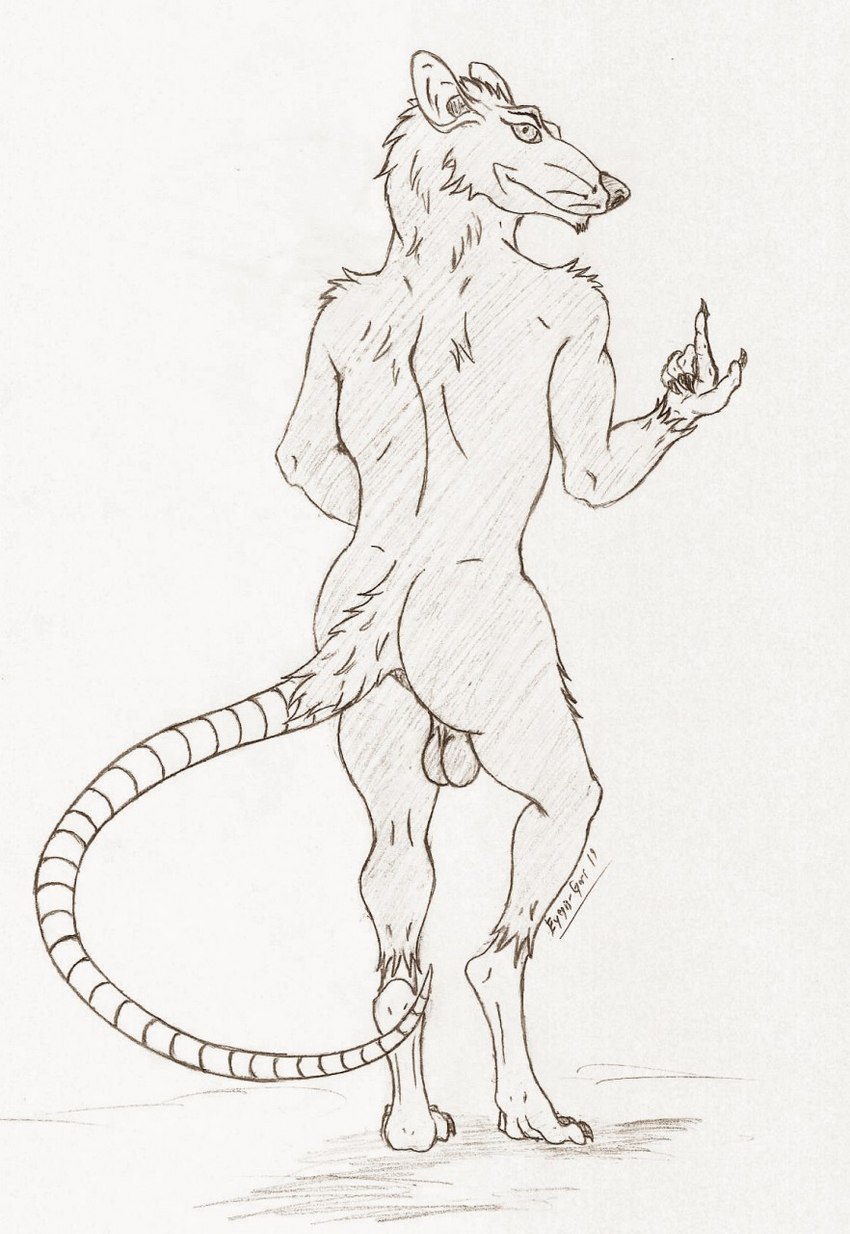 anthro anus backsack balls barely_visible_anus beckoning butt genitals gesture hand_gesture long_tail looking_at_viewer looking_back looking_back_at_viewer male nude pointing rat_tail rear_view solo tail eyegis-garr mammal murid murine rat rodent hi_res line_art shaded simple_shading