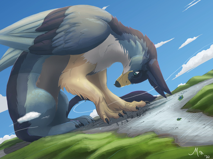 aircraft airplane ambiguous_gender city cityscape feet feral giga landscape landscape_dwarfing macro macro_feral outside sitting solo talons toes vehicle magpi mythology torvid avian gryphon mythological_avian mythological_creature 4:3 absurd_res hi_res