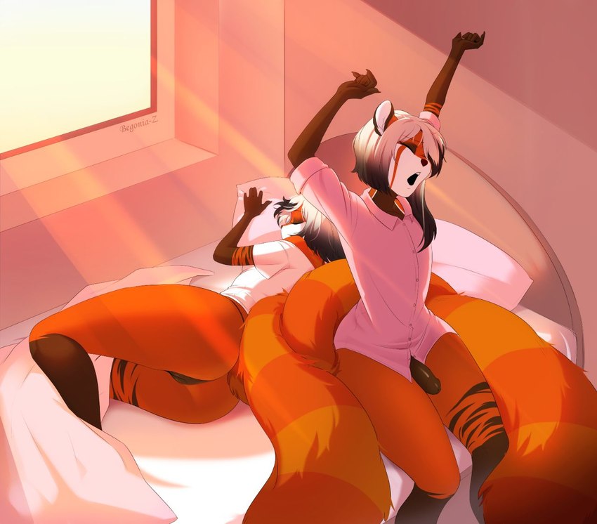 anthro bed breasts clothed clothing detailed_background duo eyebrows eyelashes eyes_closed female femboy furniture genitals hair lying male on_bed on_side open_mouth penis sitting tail teeth begonia-z victoria_(montsegur) vincent_(montsegur) ailurid mammal red_panda 2022 digital_media_(artwork) watermark sibling_(lore) twins_(lore)