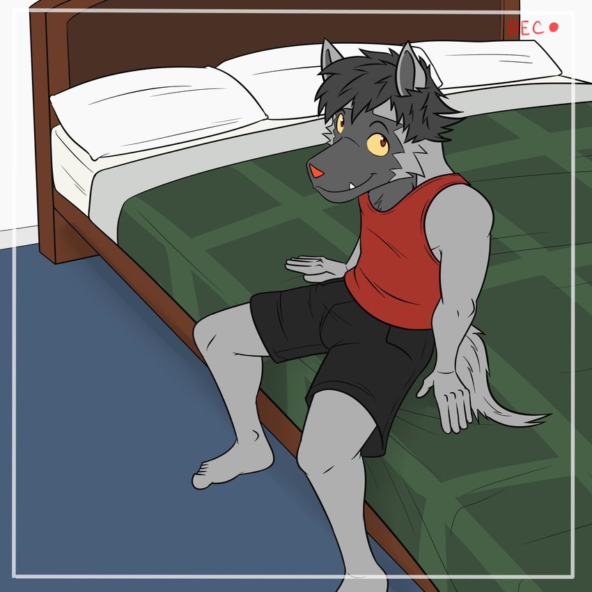 5_fingers 5_toes anthro bed bed_sheet bedding black_bottomwear black_clothing black_hair black_shorts bottomwear camera_hud camera_view clothed clothing feet fingers first_person_view fully_clothed fur furniture green_bed grey_body grey_feet grey_fur grey_tail hair inside looking_up male orange_eyes orange_nose pillow plantigrade recording red_clothing red_shirt red_tank_top red_topwear shirt shorts smile solo tail tank_top toes topwear yellow_sclera fuze nintendo pokemon pawl_(fuze) generation_3_pokemon pokemon_(species) poochyena 1:1 2024 hi_res