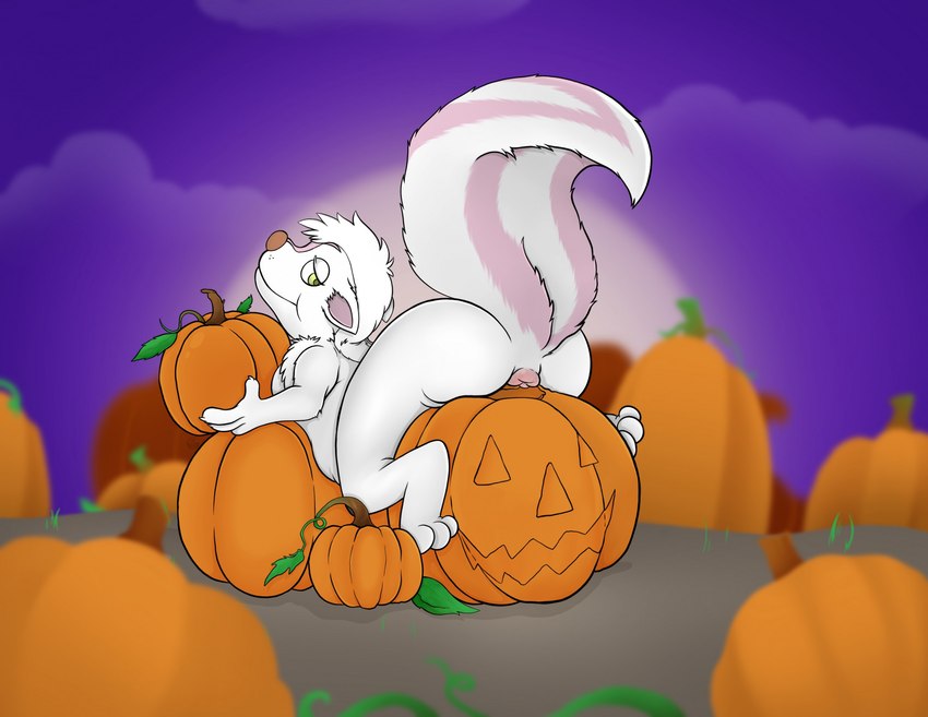 anthro anus butt duo fluffy fluffy_tail food fruit fur jack-o'-lantern male male/male nude pink_anus pink_body pink_fur plant pumpkin raised_tail skunk_tail tail thick_tail white_body white_fur thr33y3dg0at trewni_(treewinder) mammal mephitid skunk hi_res