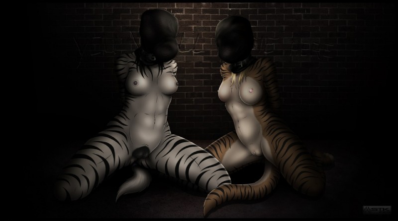 animal_genitalia anthro bag bdsm black_body black_fur bondage bound breasts dungeon duo female fur genitals kneeling nipples pussy stripes text white_body white_fur statik rena_(statik) zadee equid equine felid mammal pantherine tiger zebra 2018