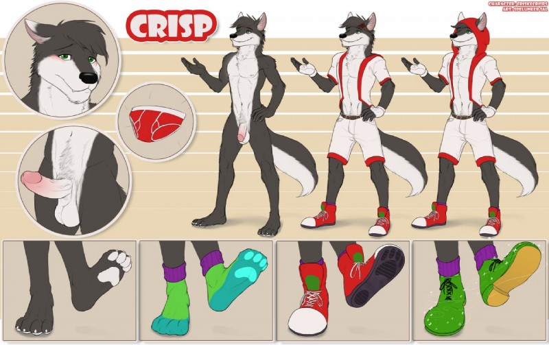 anthro balls biped bottomwear briefs circumcised clothed clothing erection feet flaccid footwear fully_clothed genitals green_eyes hindpaw humanoid_genitalia humanoid_penis legwear male nude off/on open_clothing open_shirt open_topwear paw_socks paws penis plantigrade red_briefs red_clothing red_underwear shirt shoes shorts socks solo text topwear underwear spelunker_sal crisp_the_wolf canid canine canis mammal wolf character_name model_sheet multiple_versions