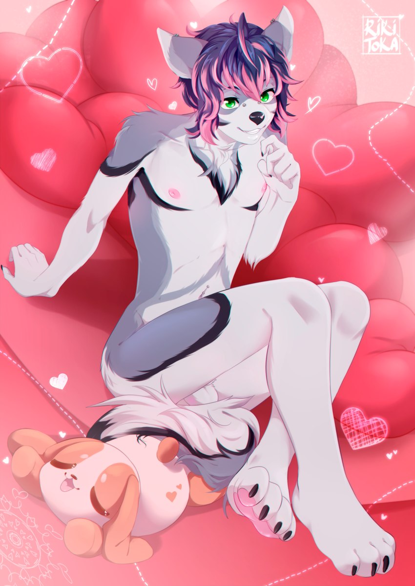 anthro balls black_nose crossed_legs femboy furniture genitals green_eyes heart_symbol male nipples pawpads piercing pink_nipples pink_pawpads pink_sofa plushie sofa solo white_balls rikitoka shiro_(shirodog) canid canine canis domestic_dog husky mammal nordic_sled_dog spitz hi_res