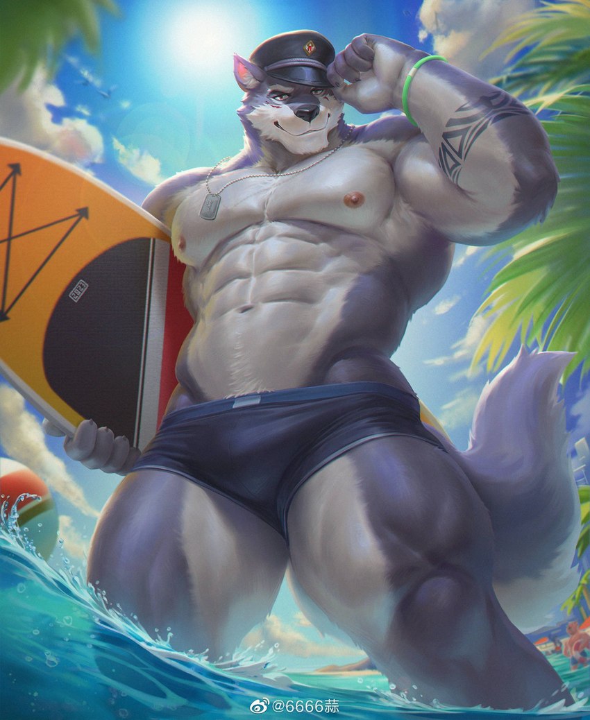 abs anthro arm_tuft athletic beach biceps body_tuft chest_tuft clothing cloud day detailed_background facial_tuft fur grey_body grey_fur hair hat head_tuft headgear headwear jewelry leaf liquid looking_at_viewer looking_down looking_down_at_viewer low-angle_view male markings muscular muscular_anthro muscular_legs muscular_male muscular_thighs necklace nipples outside pecs police police_hat pubes seaside serratus sky smile smiling_at_viewer smirk smirking_at_viewer solo surfboard swimwear tail tail_tuft tattoo tuft underarm underwear water weibo_logo white_body white_fur wristband 6suan weibo canid canine canis mammal wolf 2023 hi_res