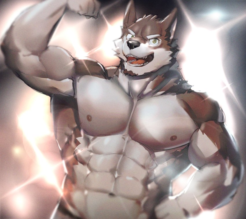 abs anthro barazoku biceps facial_hair fur male muscular muscular_anthro muscular_male nipples pecs solo neumokun canid canine mammal absurd_res hi_res